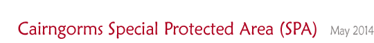 Cairngorms Special Protected Area (SPA)